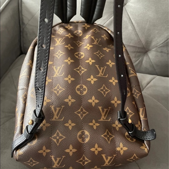 Louis Vuitton PALM SPRING Monogram PM size main image 4
